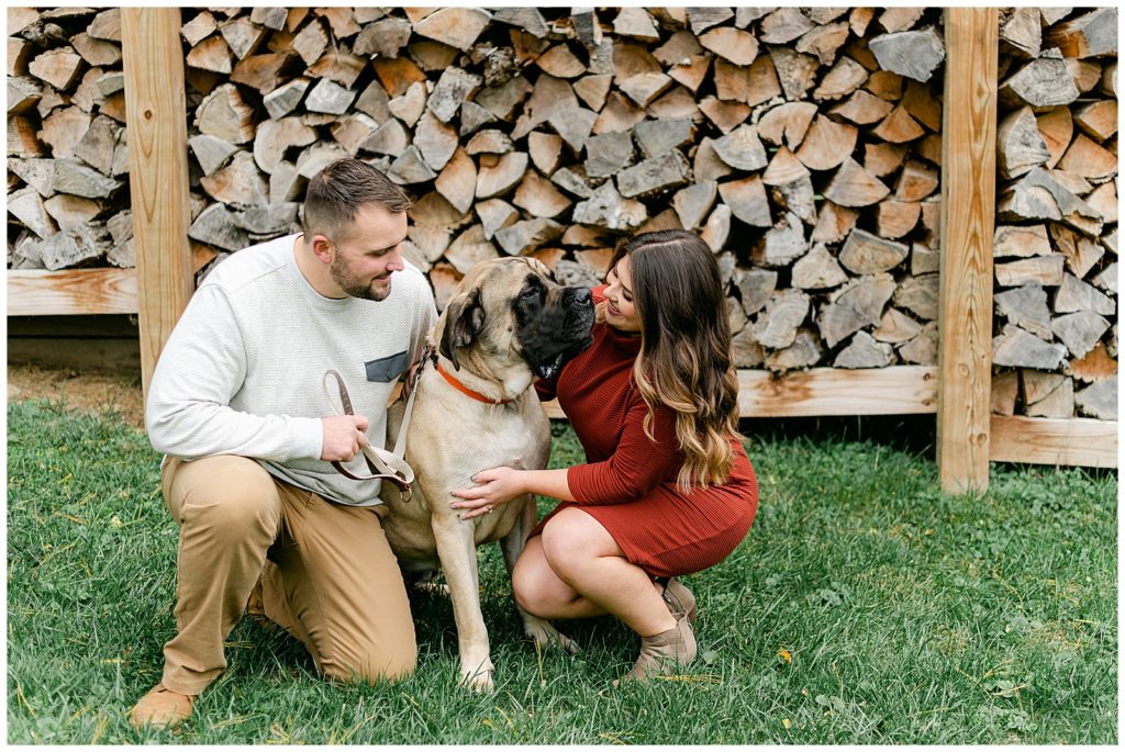 engagement. pets
